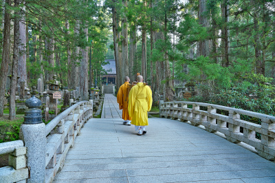 世界遺産 高野山とは？見どころや歴史、宿坊など、多彩な魅力を徹底解剖！