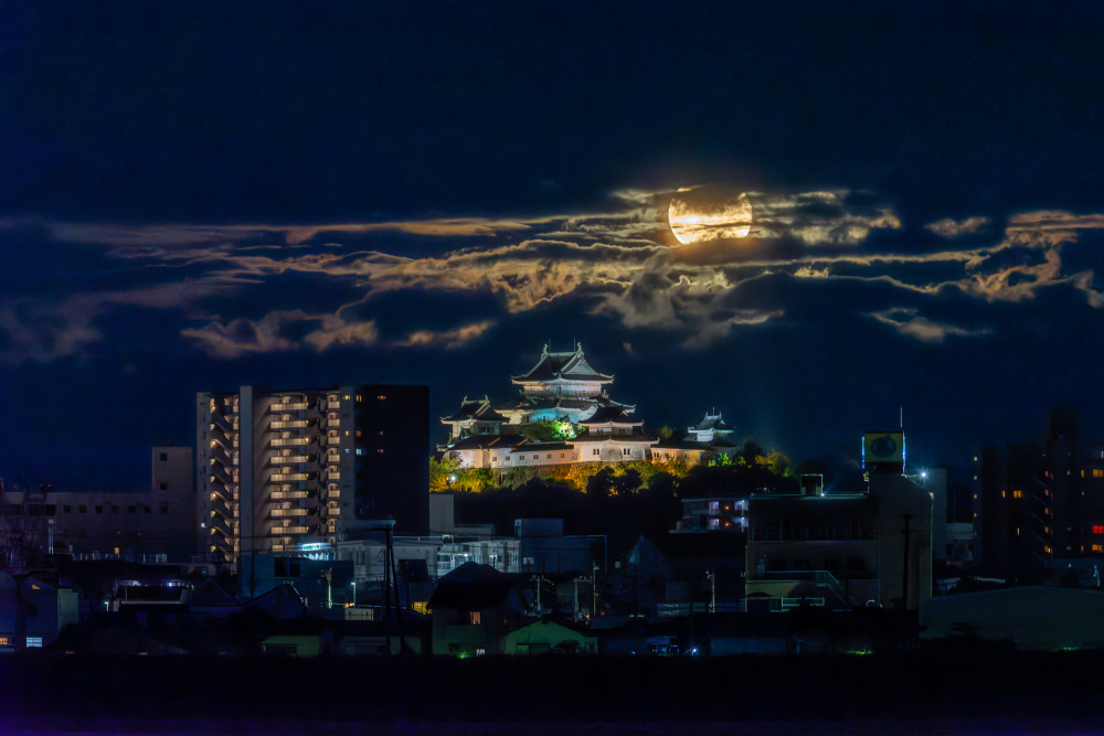 ロマンチックな夜景やイルミネーション、美味しいグルメなど、和歌山の夜観光まとめ