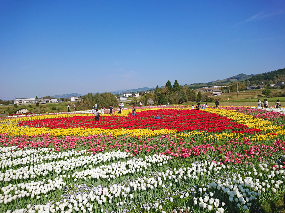 風かおる、春の花めぐり