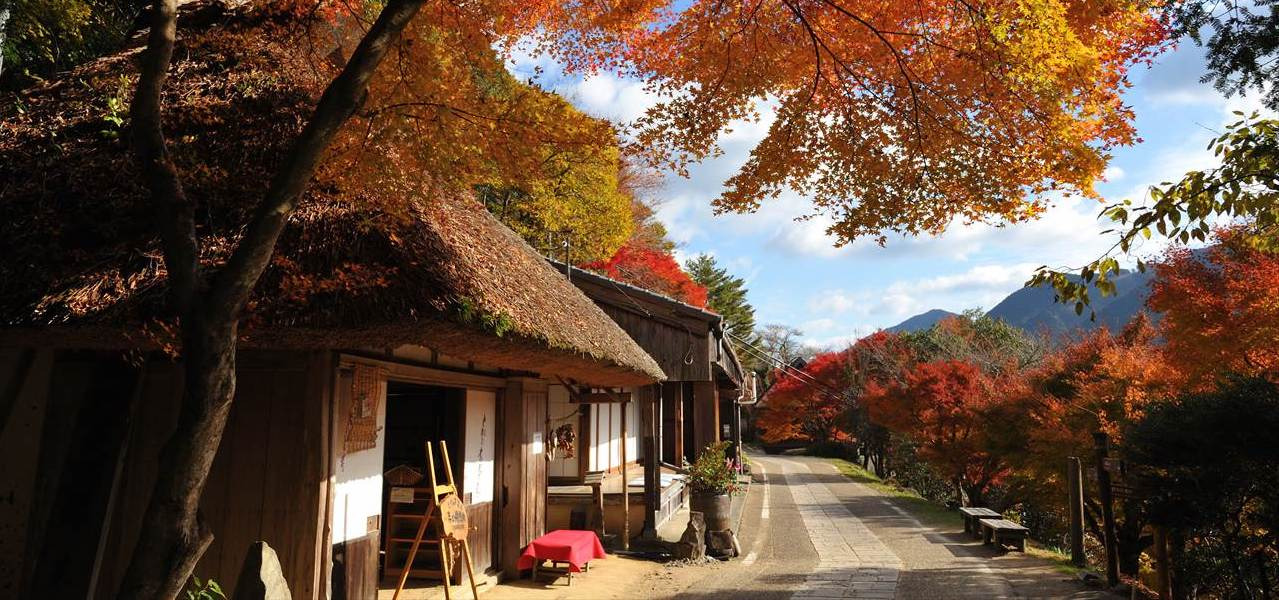 秋の熊野　燃ゆる山々