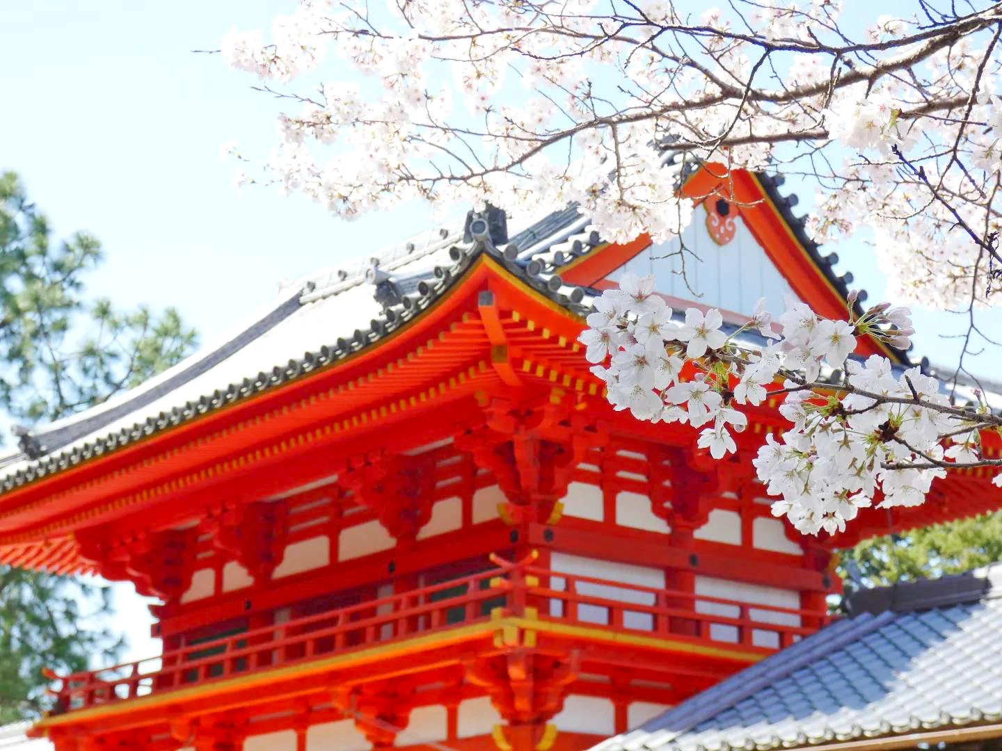 旬のおすすめ情報春はすぐそこ、縁結びの神仏に祈りを