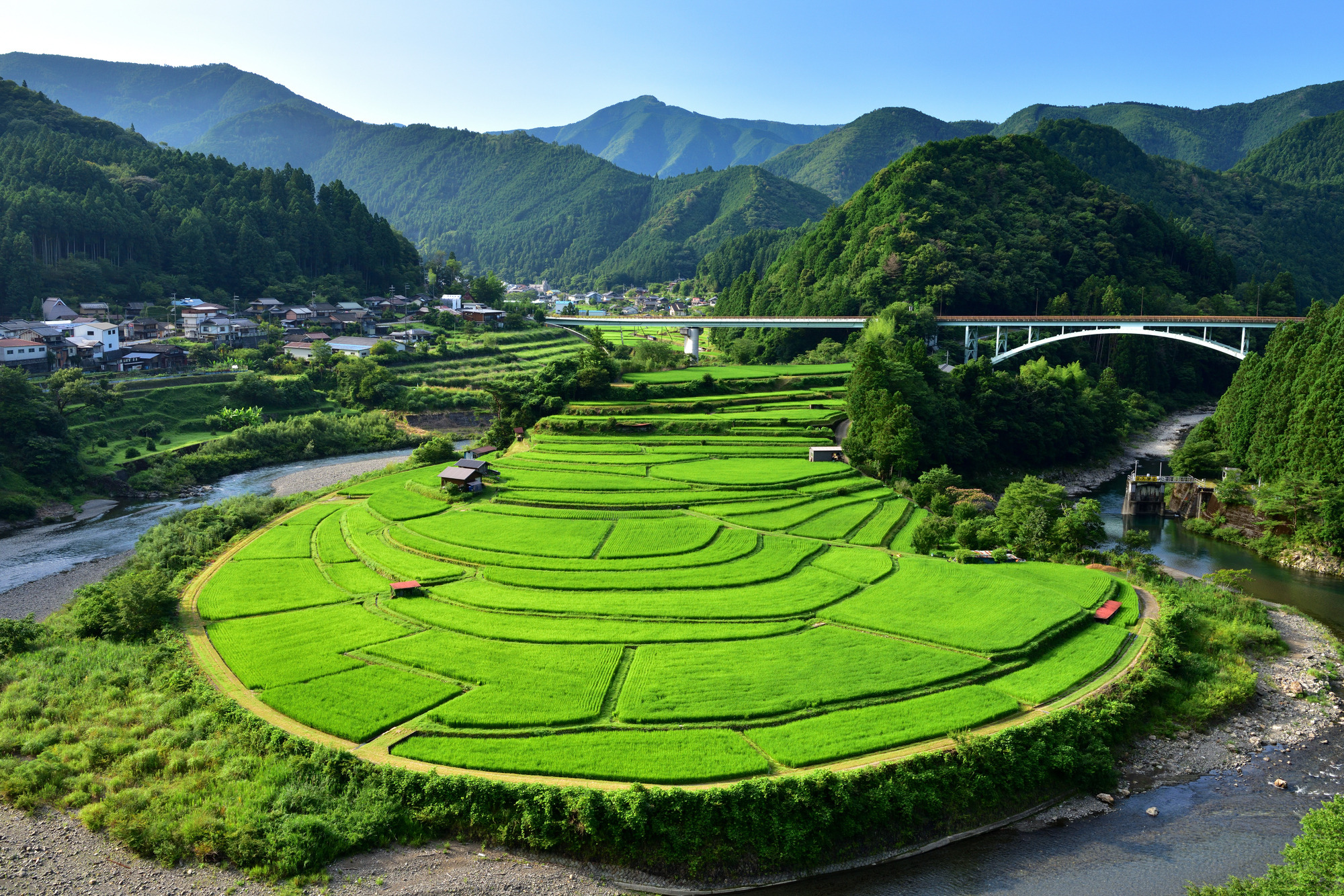 あらぎ島に生石高原など、有田川町の見どころまとめ！おすすめグルメやスポットなどを一挙ご紹介