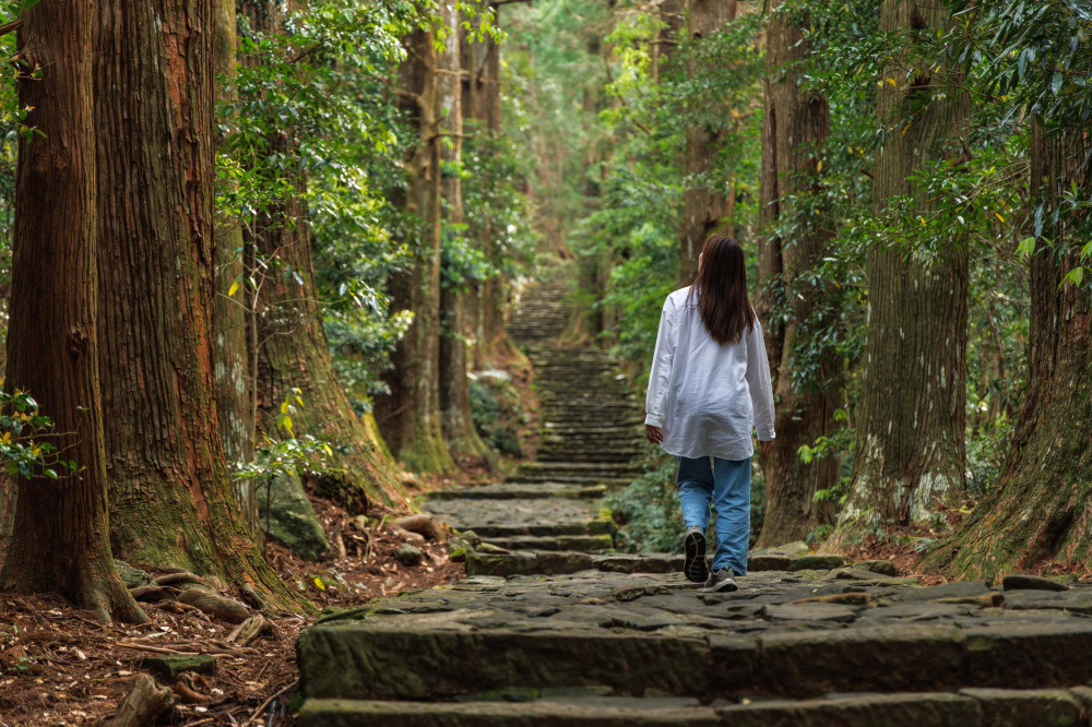 熊野御幸の足跡をたどる旅 ―祈りの道「熊野古道」をゆく―【熊野御幸ゆかりの御朱印めぐり】