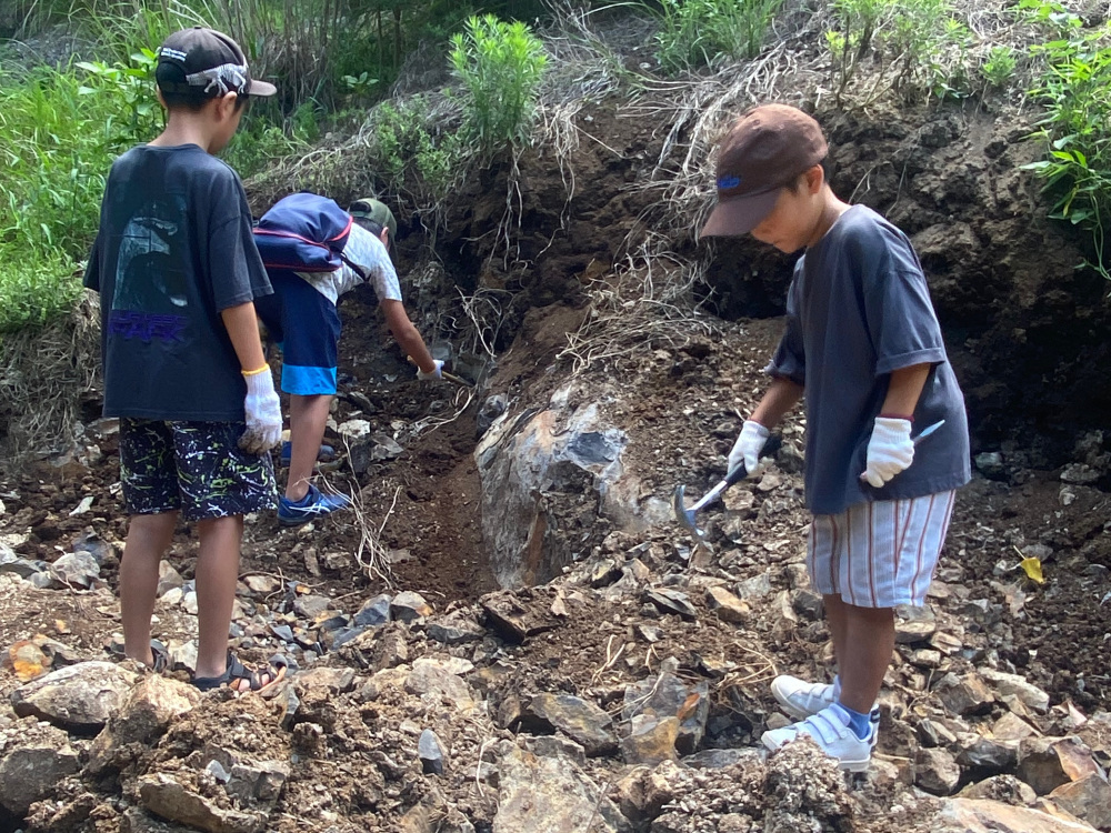 化石好き必見!2025年秋のおでかけは有田川町へ