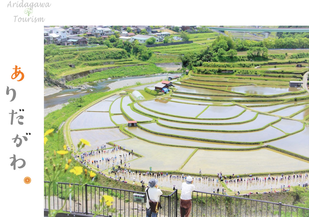 有田川町の観光情報まとめ!おすすめグルメやフォトスポットの情報も!