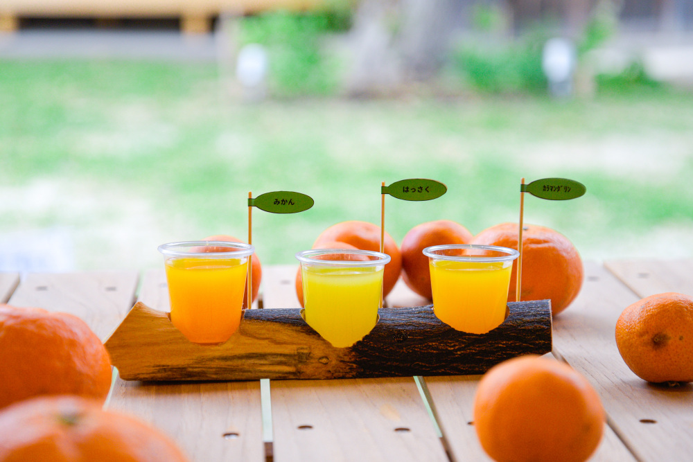 フレッシュな味わい!生搾りみかんジュースが味わえるスポット5選