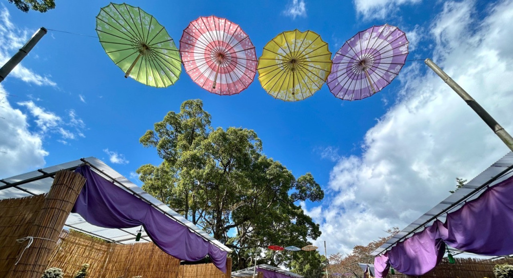 2025年11月 和歌山県内のイベント情報まとめ