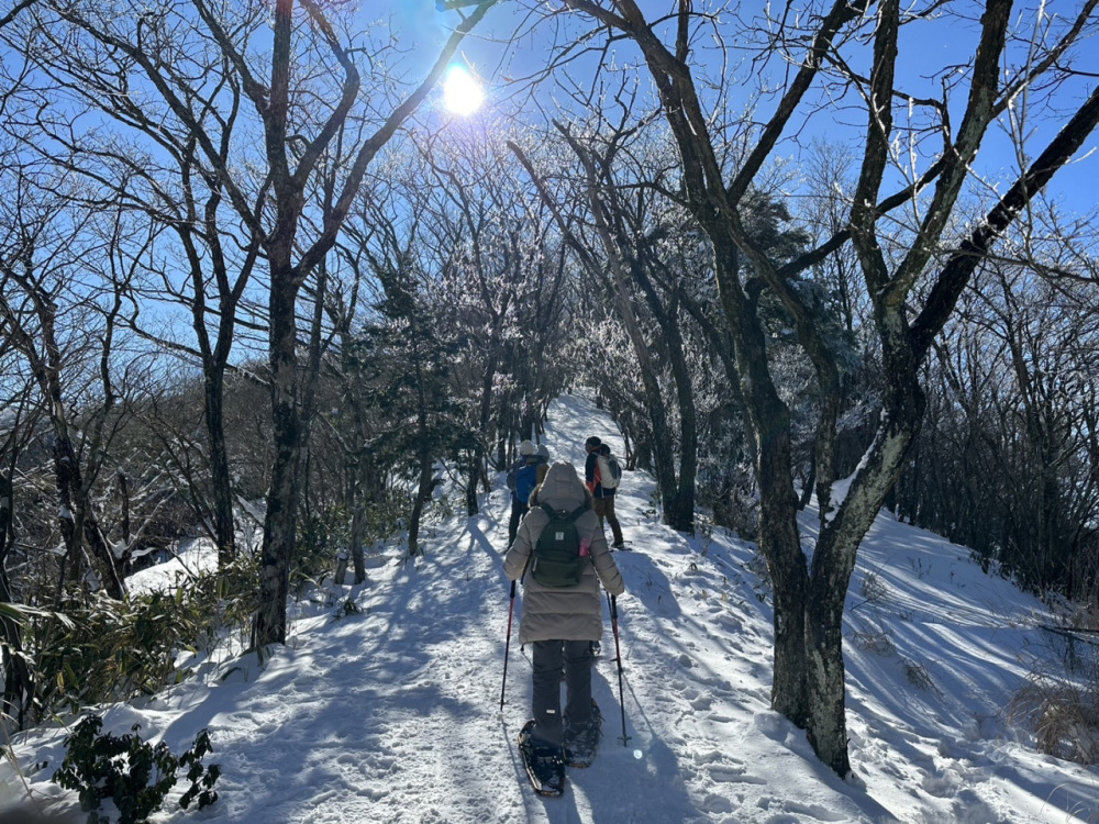 2026年1月 和歌山県内のイベント情報まとめ