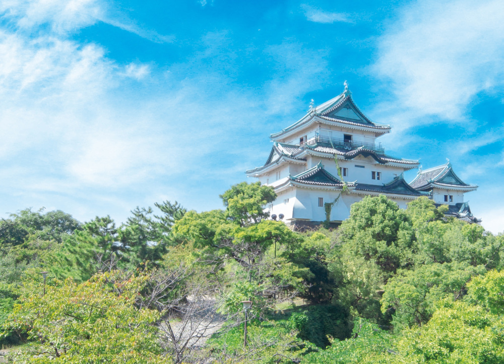 話題の大河ドラマ「豊臣兄弟!」――和歌山に刻まれた兄弟の軌跡