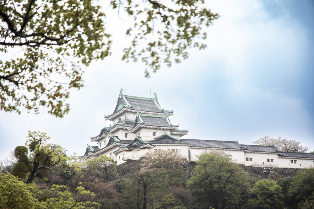 豊臣家ゆかりの和歌山旅!~豊臣家ゆかりのスポット巡りに最適!おすすめ宿3選も~