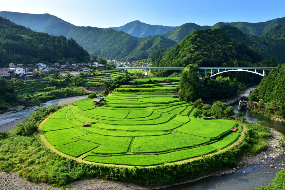 高野山とともに発展してきた、有田川町