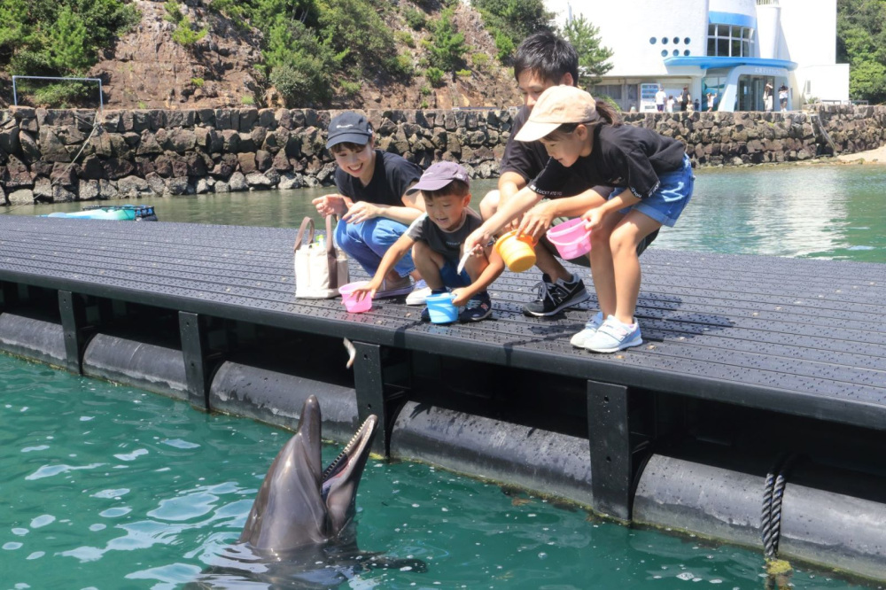 クジラの町、太地町