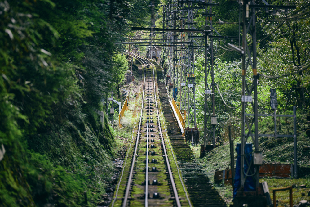 苔むした線路と徐々に深みを増していく森