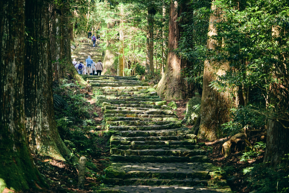 これがかの有名な大門坂。ご年配の団体ツアーの方々も上っていました。負けてられません。