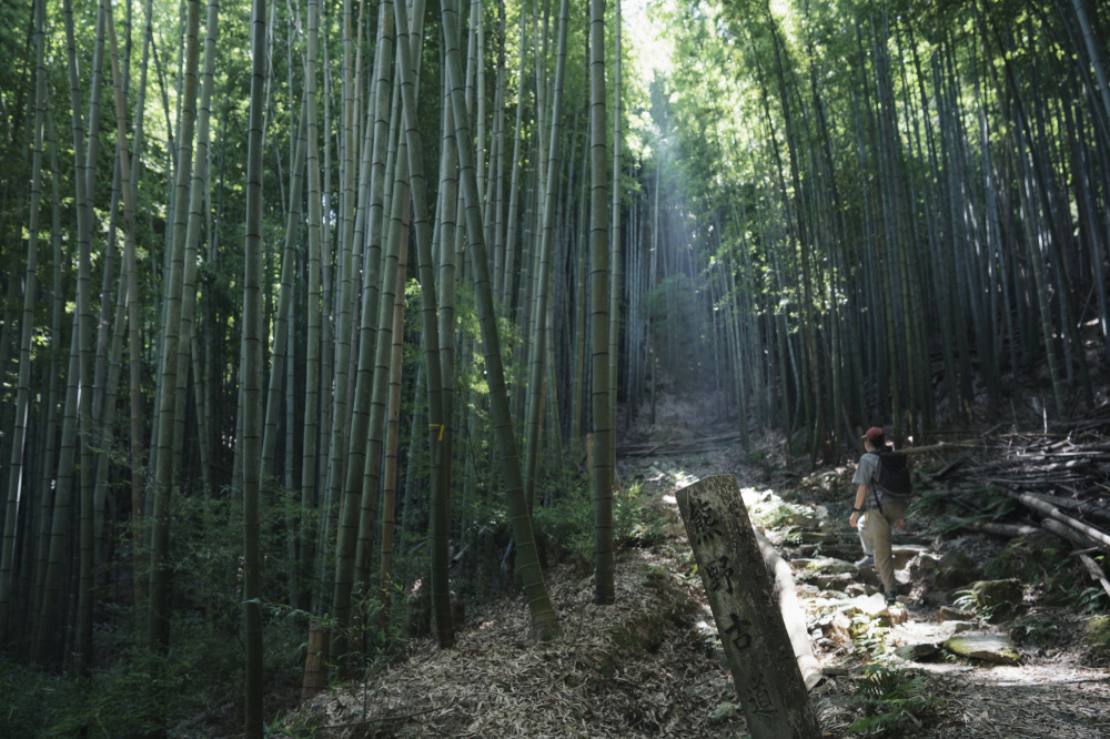 【熊野古道・紀伊路】“熊野路第一の美景”と称賛される名所も楽しめる、歴史と景勝の道へ