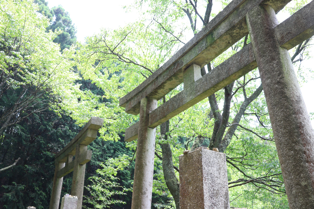 ▲高野山といえば仏教の印象が強いものの、エリア内には丹生官省符神社や丹生都比売神社といった高野山開創に深い関わりがある神社も共存する。神仏混交の時代に思いを馳せて歩きたい。