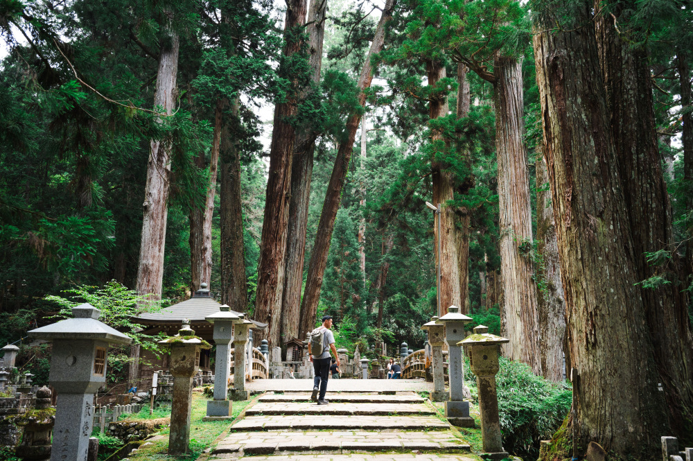 【高野参詣道・女人道】当時の女性たちに思いを馳せながら、高野三山を歩く旅