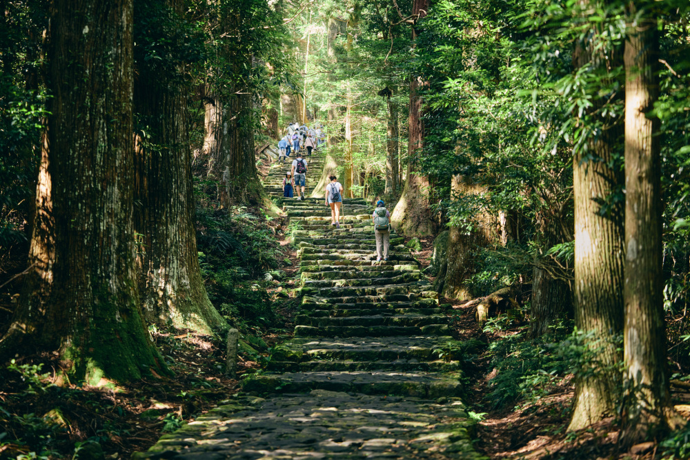 これが、かの有名な石畳の階段。美しい〜。たくさんの人が杖を片手に上っていました。