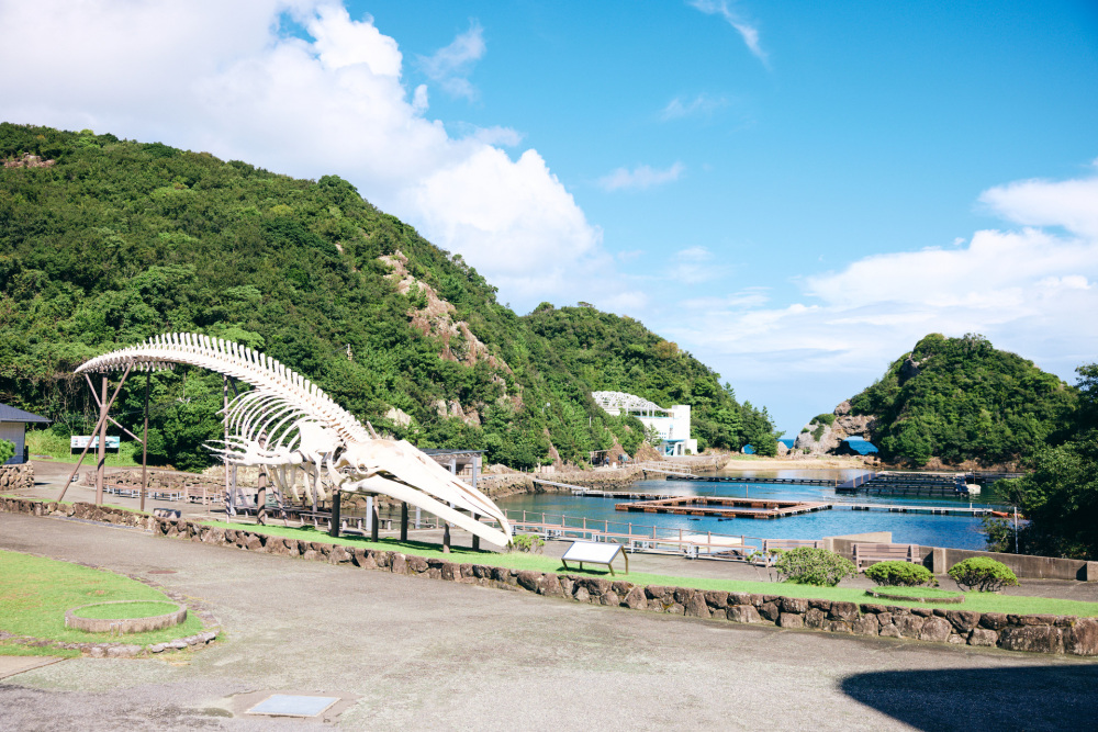 わー、すごい贅沢な環境！　と思ったら、吉野熊野国立公園の一部なんです。