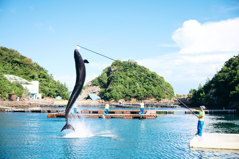 やっぱりクジラは大きいね。ほ〜ら、ダイナミック！