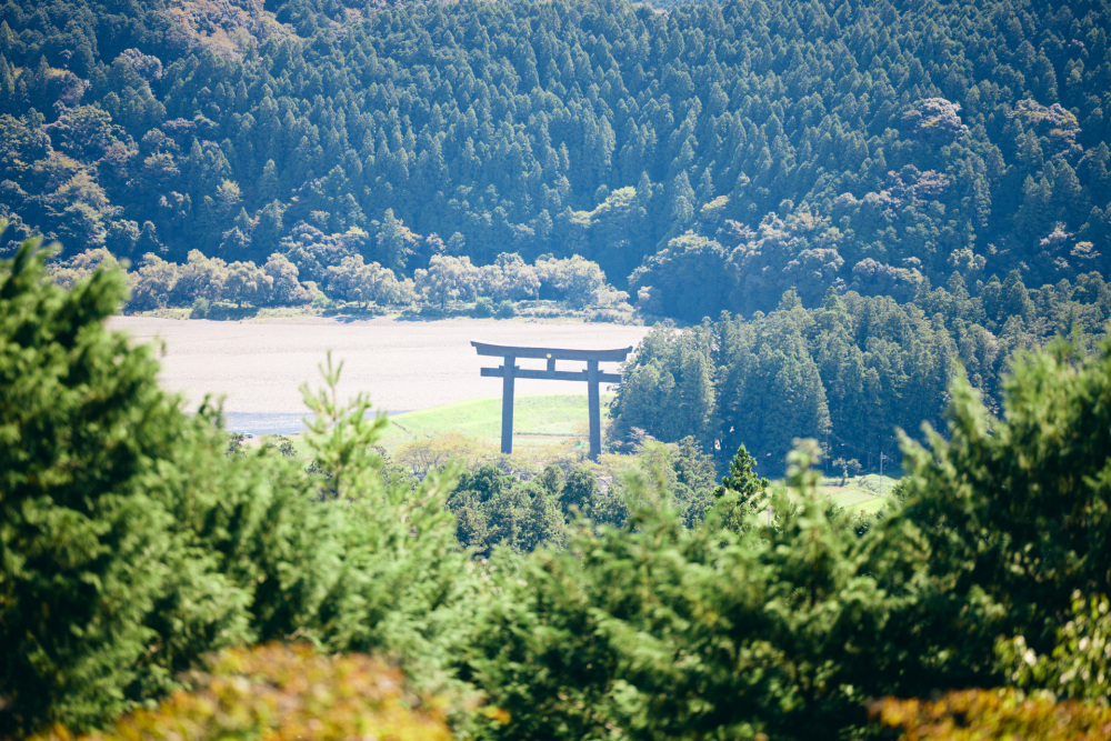 大鳥居が見える～!!　感動ものの景色です。