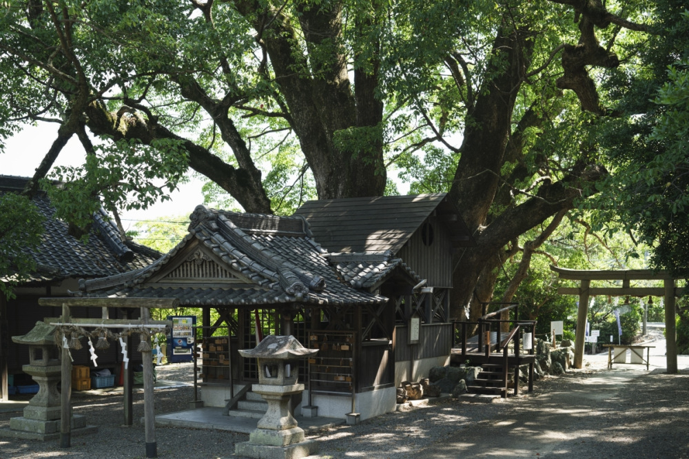 藤白神社・熊野古道紀伊路（海南市）