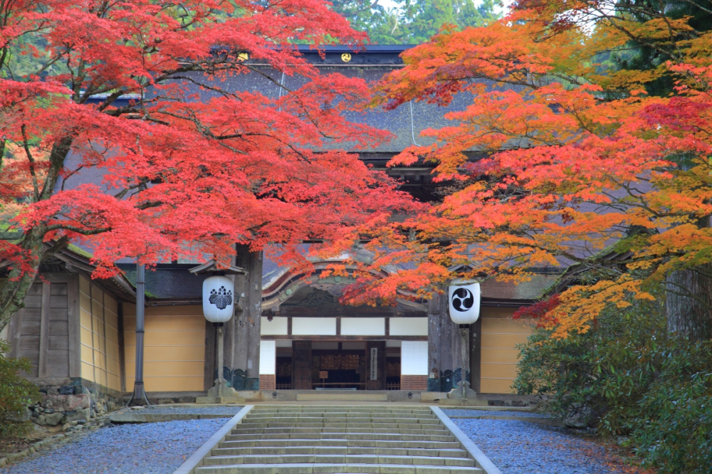 高野山・金剛峯寺（高野町）