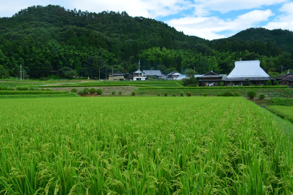 天野の里（かつらぎ町）