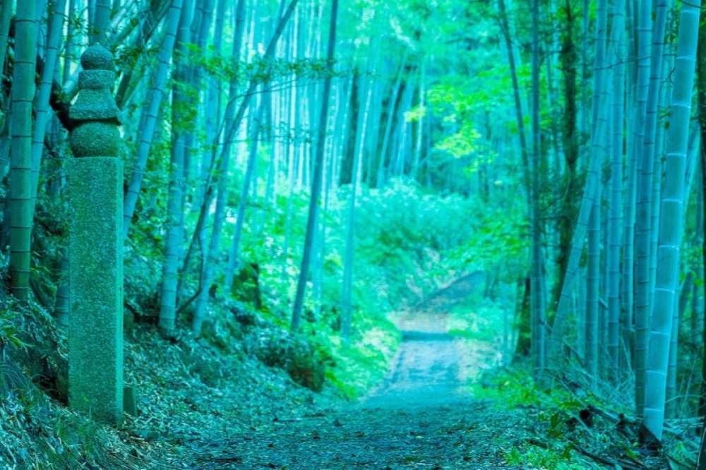 高野山参詣道・町石道（九度山町）