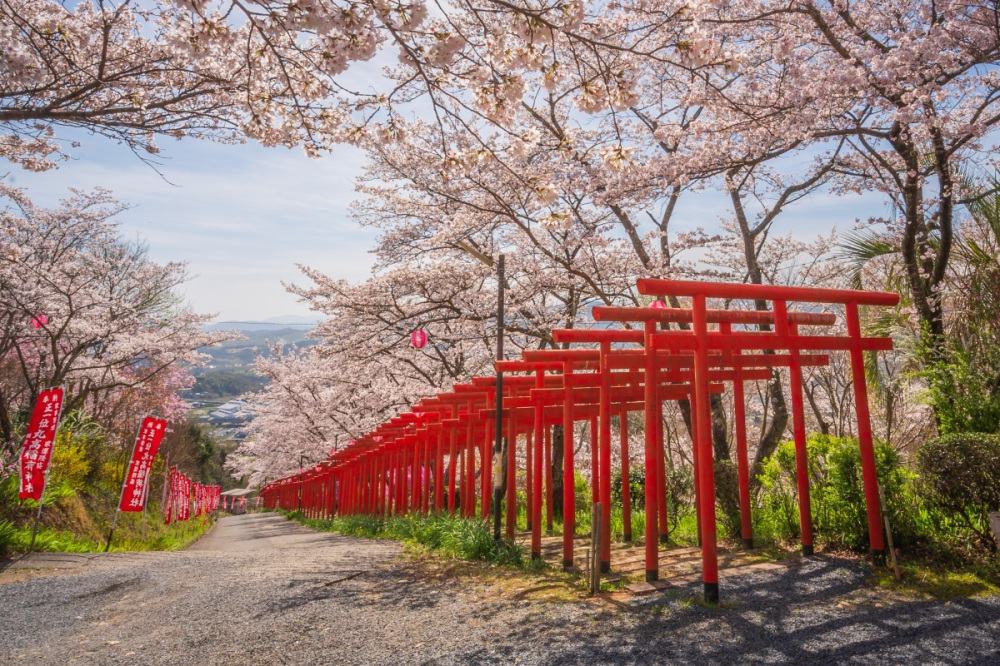 丸高稲荷神社（橋本市）