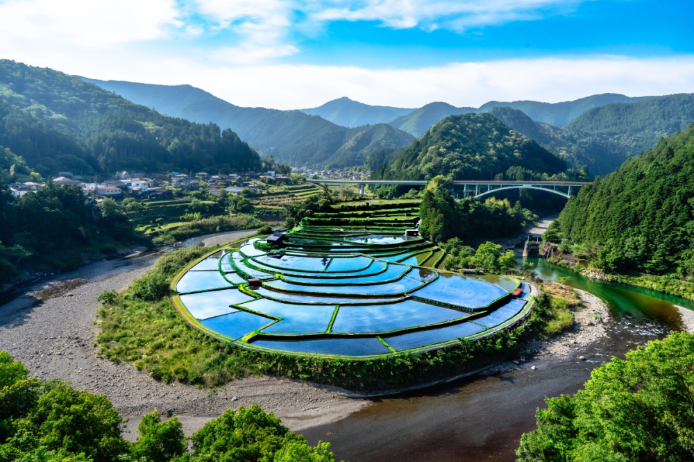 あらぎ島（有田川町）