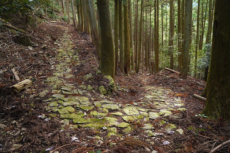 熊野古道紀伊路・鹿ヶ瀬峠（日高町）