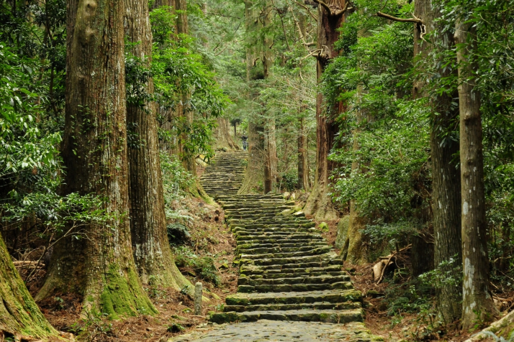 熊野古道・大門坂（那智勝浦町）