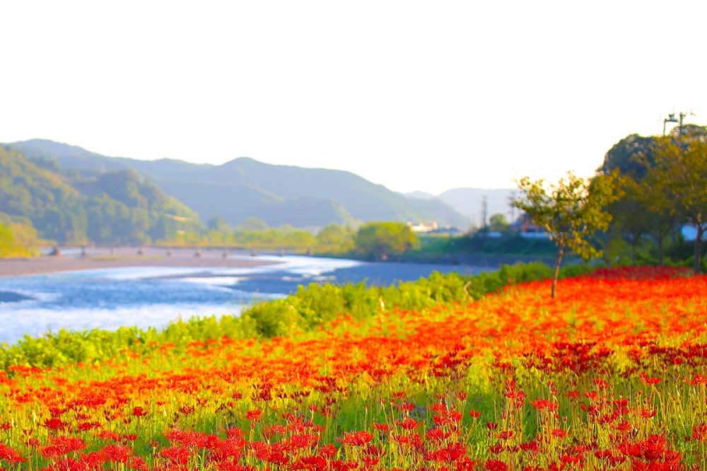 富田川・水垢離場（上富田町）