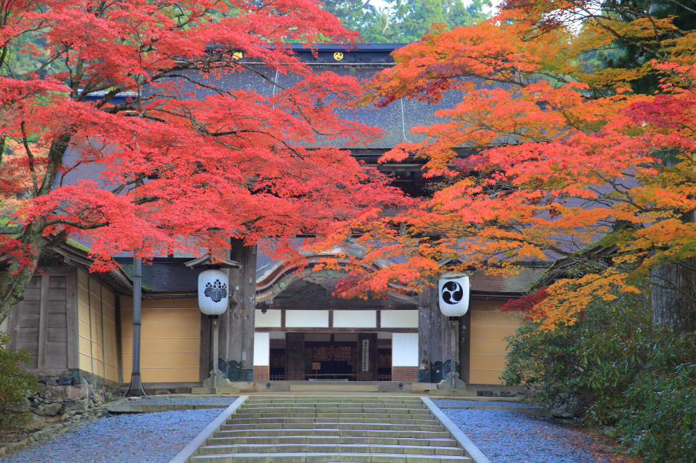 高野山とともに発展してきた、有田川町の歴史