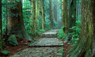 大門坂～熊野那智大社・那智の滝