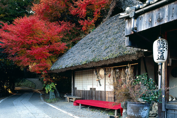 熊野古道 中辺路