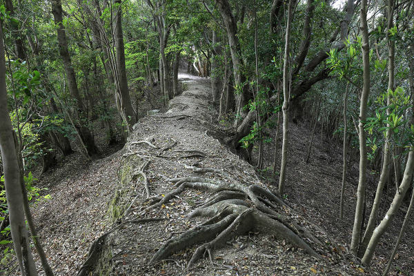 熊野古道 大辺路