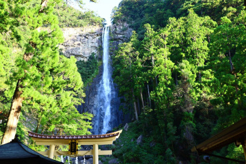 名古屋発！特急南紀で行く2泊3日熊野旅「Re: 和歌山・熊野の”とっておき”に出逢う。」