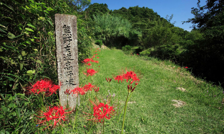 高野坂