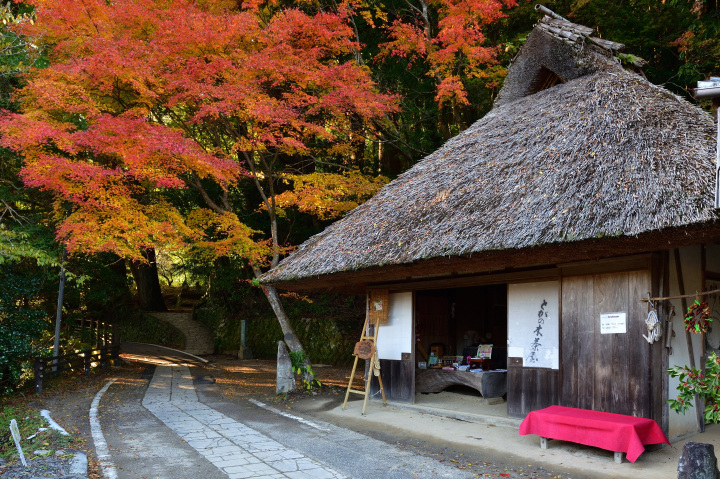 とがの木茶屋