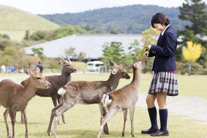 奈良公園