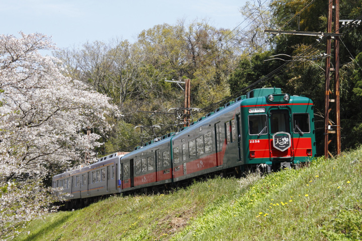 高野山への旅がより特別に感じられる観光列車「天空」