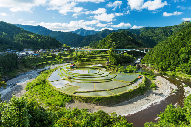 あらぎ島