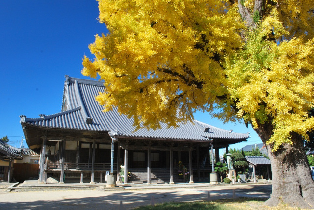 寺内町（じないまち）