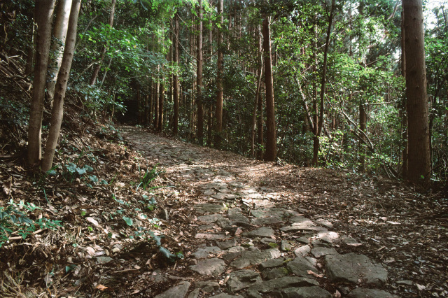 熊野古道　紀伊路　鹿ヶ瀬峠（ししがせとうげ）