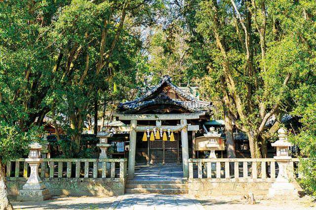 小竹八幡（しのはちまん）神社