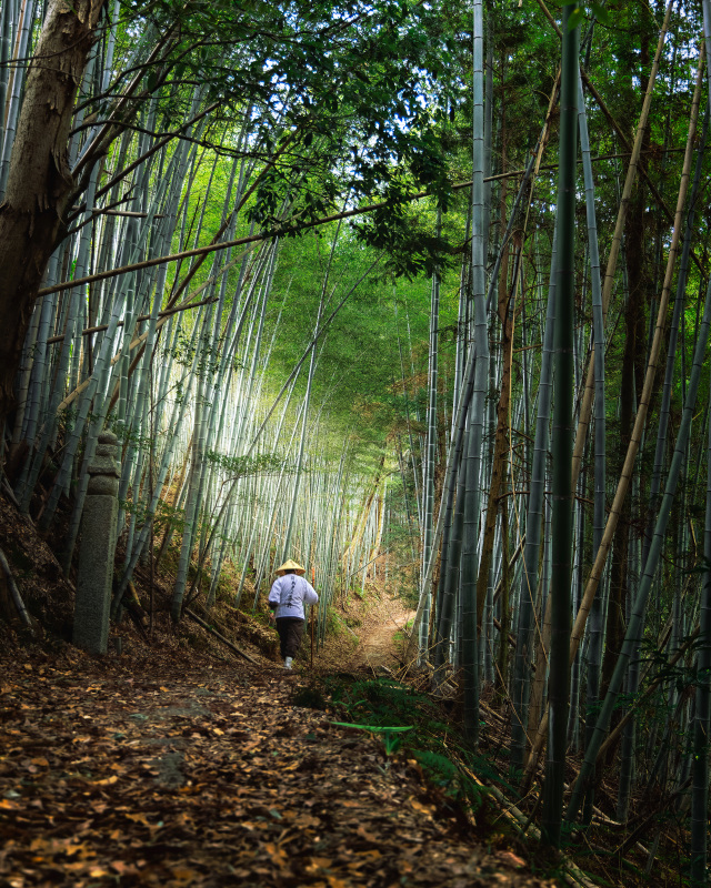 高野山 町石道（ちょういしみち）