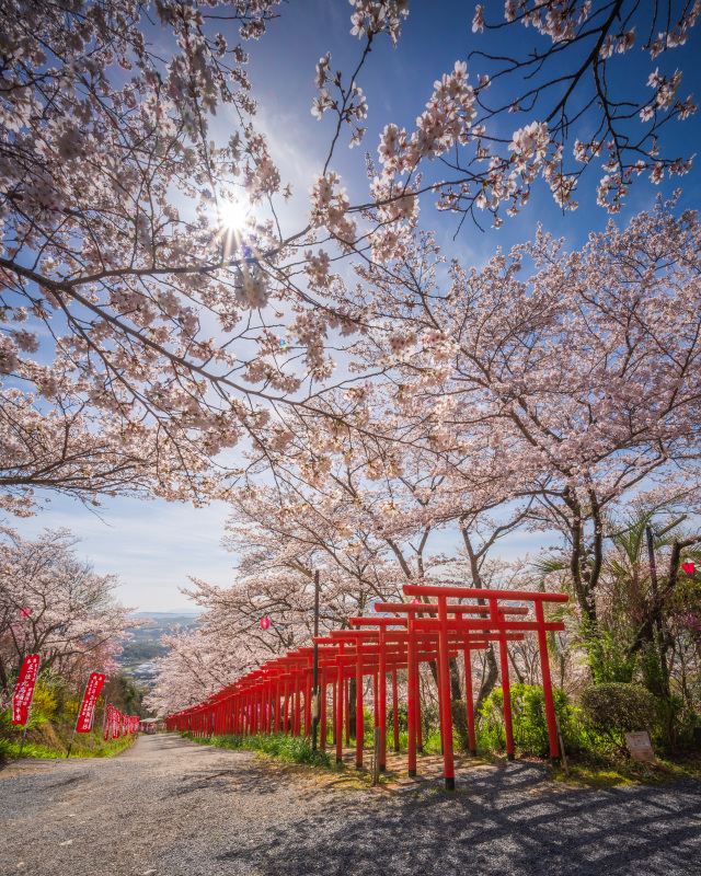 丸高稲荷神社（まるたかいなりじんじゃ）