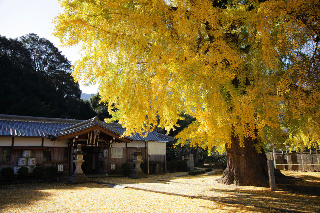 丹生酒殿神社（にうさかどのじんじゃ）